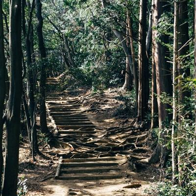 进化2乌托邦之战最新版下载